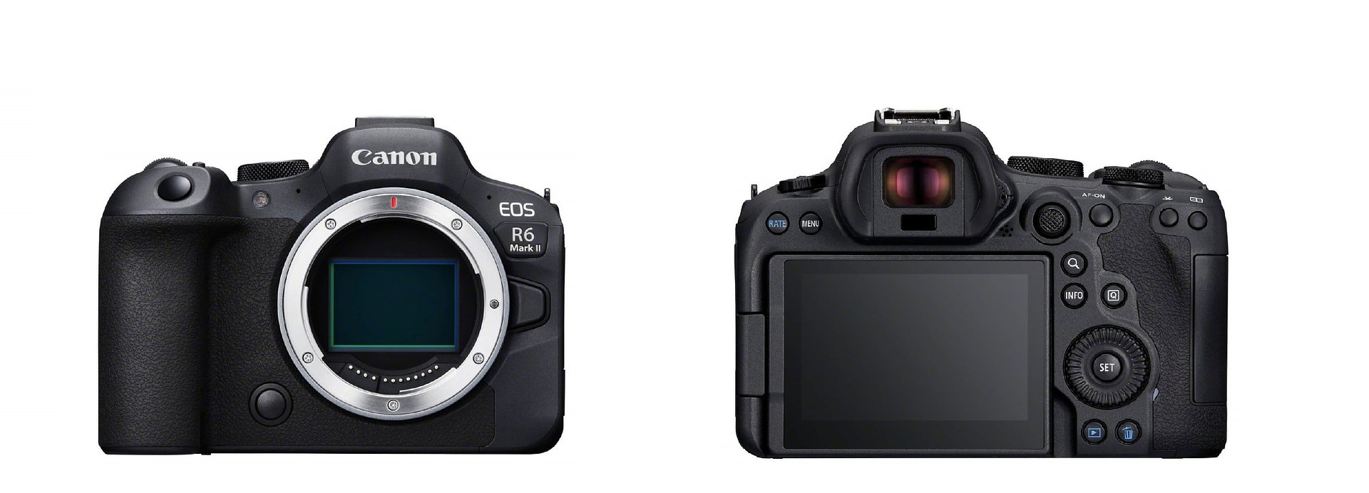 Canon EOS R6 Mark II 
